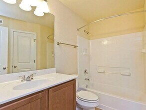 335 Rachel St in San Marcos, TX - Foto de edificio - Building Photo