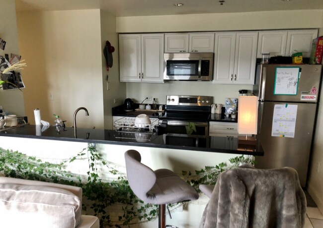 534 Commonwealth Ave in Boston, MA - Foto de edificio - Building Photo