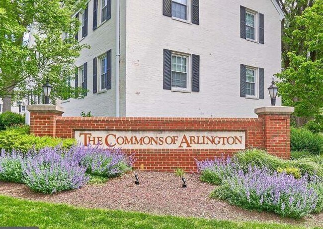 2900-2913 13th St S in Arlington, VA - Building Photo - Building Photo