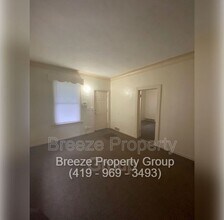 319 N Detroit Ave in Toledo, OH - Building Photo - Building Photo