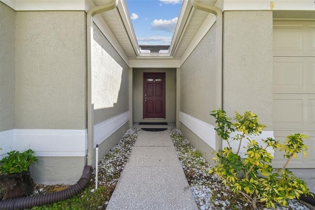 10039 Cedar Dune Dr in Tampa, FL - Building Photo - Building Photo