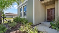 8835 Little Bluestem Dr in Land O Lakes, FL - Building Photo - Building Photo