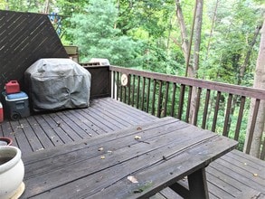 142 Quince Ln in Charlottesville, VA - Building Photo - Building Photo