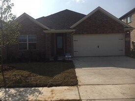 3113 Stallion Trail Way in Aubrey, TX - Building Photo