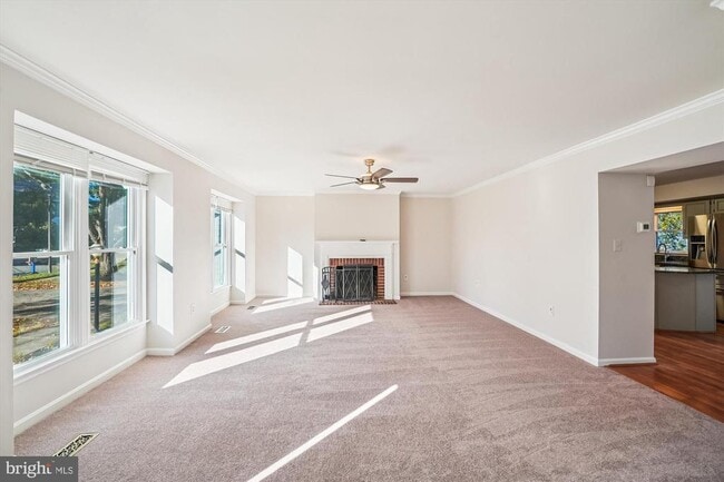 property at 8803 Black Alder Dr