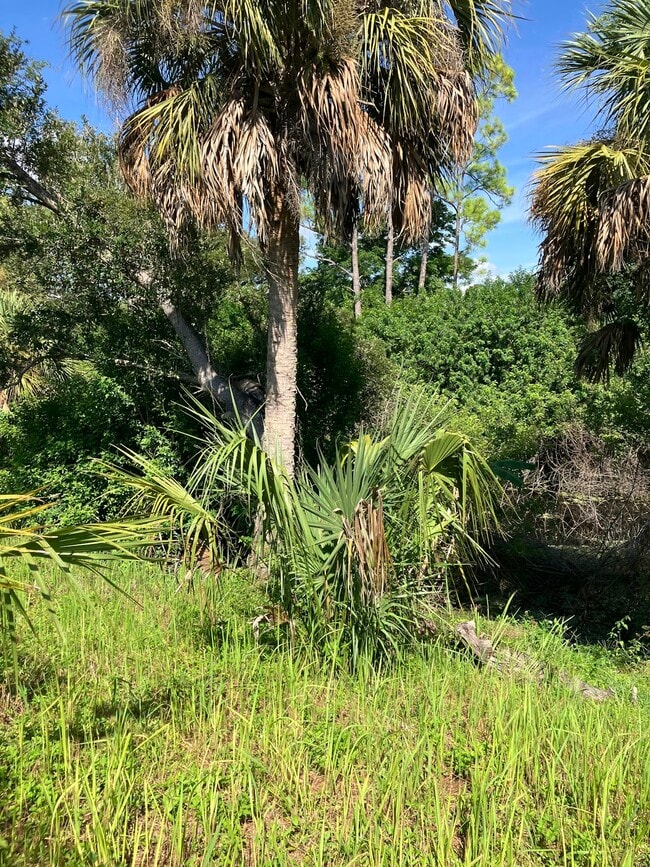 3808 Tonkin Dr in North Port, FL - Building Photo - Building Photo