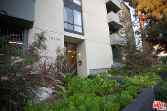 16169 Sunset Blvd, Unit 302 in Los Angeles, CA - Building Photo - Building Photo