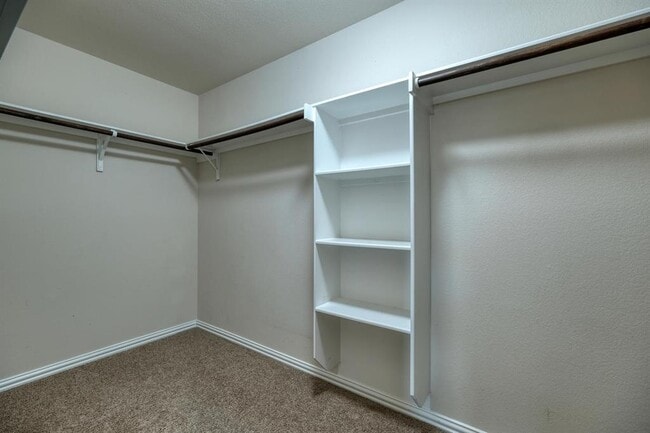 1502 Star Meadow in Kyle, TX - Building Photo - Building Photo