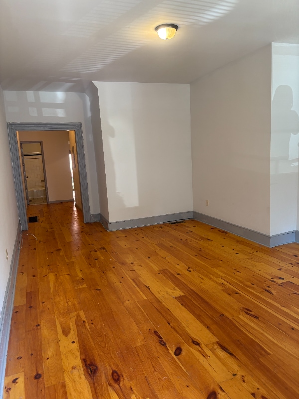 429 W Bringhurst St in Philadelphia, PA - Foto de edificio - Building Photo