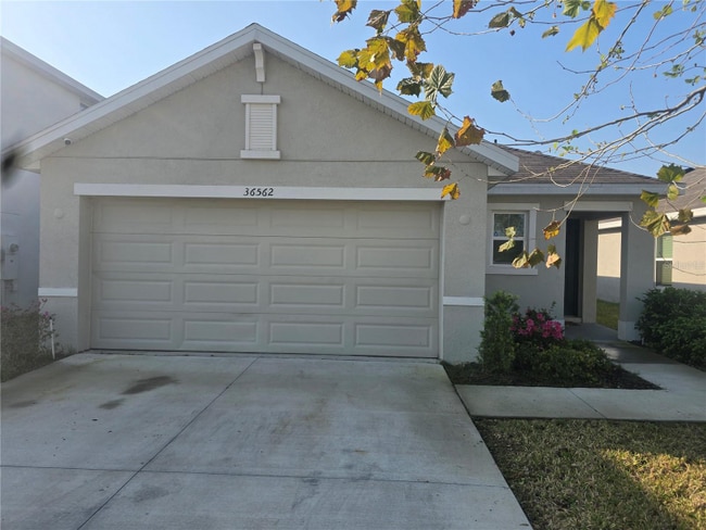 36562 Silver Maize Dr in Dade City, FL - Building Photo - Building Photo