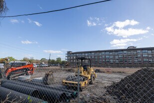 The Rushmore in Houston, TX - Building Photo