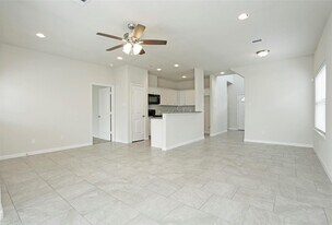 13823 Leabrandon Ln in Houston, TX - Building Photo