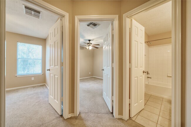 2831 Hackamore Hollow Ln