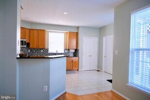 19504 Bowman Ridge Dr in Germantown, MD - Building Photo