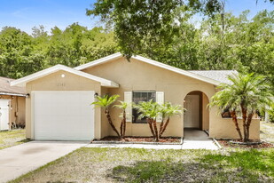 12342 Witheridge Dr in Tampa, FL - Building Photo