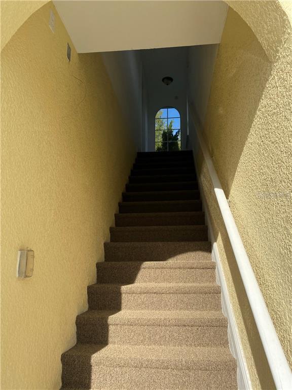 3318 Cat Brier Tr in St. Cloud, FL - Building Photo - Building Photo