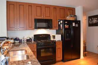 160 E Illinois St, Unit 1703 in Chicago, IL - Building Photo - Building Photo