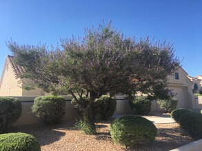 3032 Hidden Treasure Dr in Las Vegas, NV - Building Photo - Building Photo