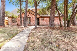 9727 John Bank Dr in Spring, TX - Building Photo