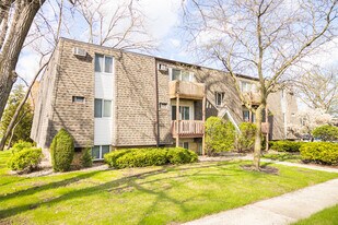 218 Madison St in Joliet, IL - Building Photo