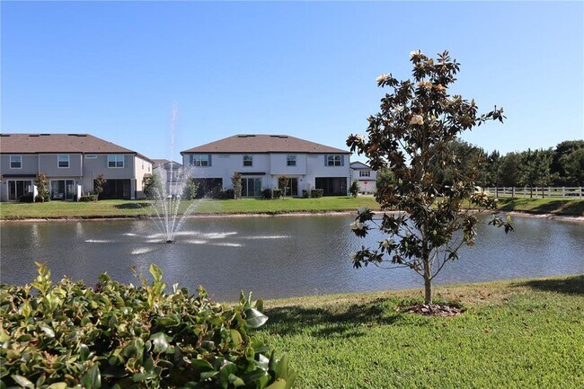 19630 Shady Oak Dr in Land O Lakes, FL - Building Photo - Building Photo