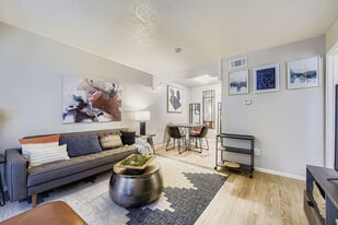 Paddock on Park Row in Arlington, TX - Building Photo