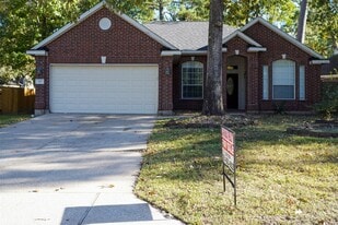 105 N Holly Laurel Cir in Spring, TX - Building Photo