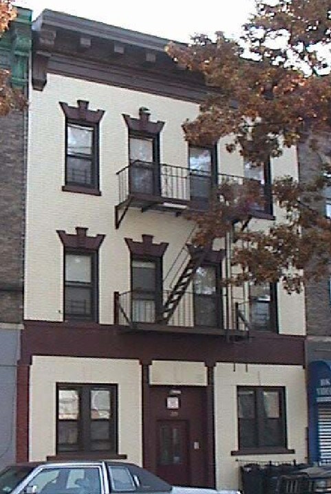 229 Troy Ave in Brooklyn, NY - Building Photo