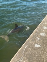 464 N Paula Dr, Unit 106 in Dunedin, FL - Building Photo