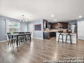 15223 Cinnamon Teal in San Antonio, TX - Building Photo - Building Photo