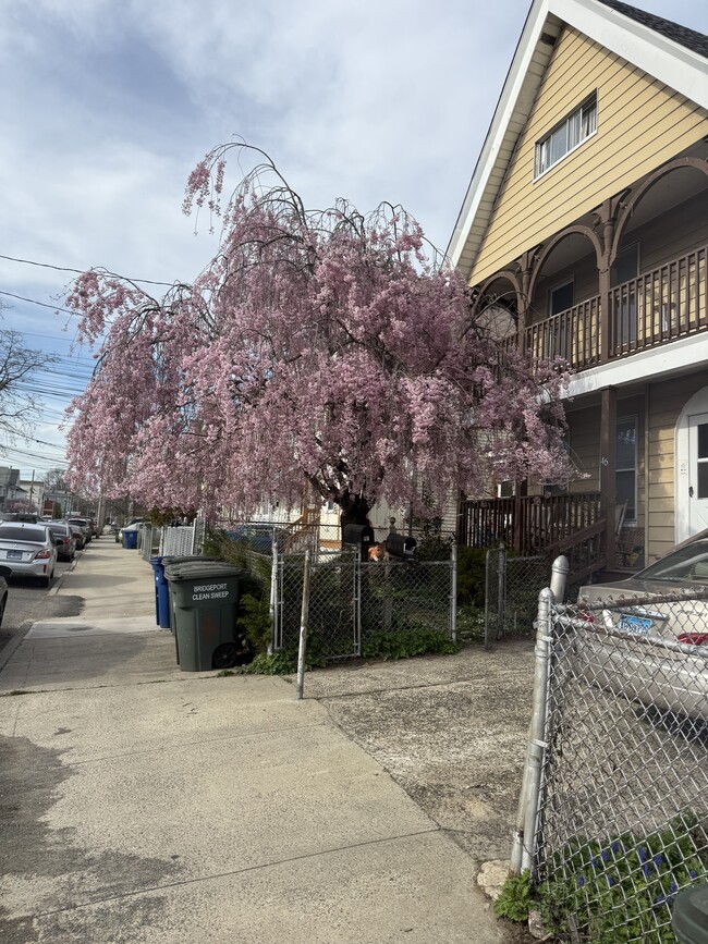 46 Lee Ave, Unit 3