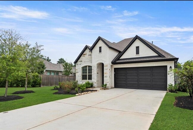 311 Fanpalm Ct in Willis, TX - Building Photo - Building Photo