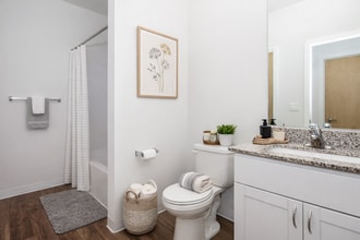 The Meadowlands in Madison, WI - Building Photo - Building Photo