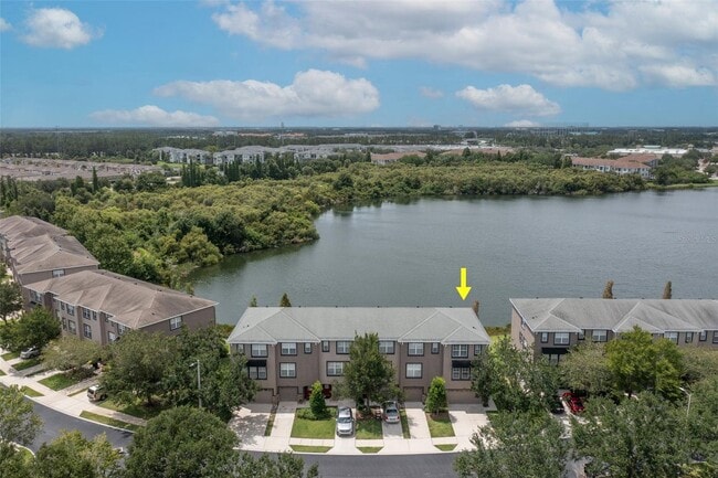 2425 Lexington Oak Dr in Brandon, FL - Building Photo - Building Photo