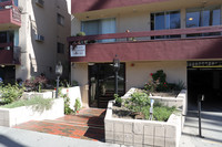 314 S St Andrews Pl Apartments in Los Angeles, CA - Building Photo - Building Photo