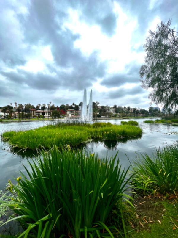 1072 Laguna Ave