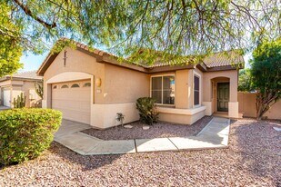 1325 W Musket Way in Chandler, AZ - Building Photo
