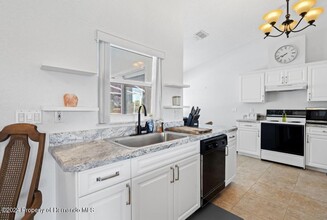 10201 Sunburst Ct in Spring Hill, FL - Building Photo - Building Photo