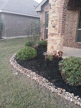 4224 Old Timber Ln in Crowley, TX - Building Photo - Building Photo