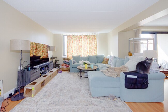 property at 85 Brainerd Rd