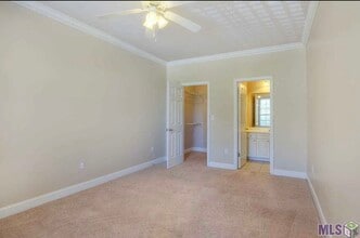 4441 Burbank Dr in Baton Rouge, LA - Building Photo - Building Photo
