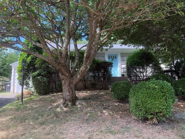 45 Sunrise Ave in New Canaan, CT - Building Photo - Building Photo