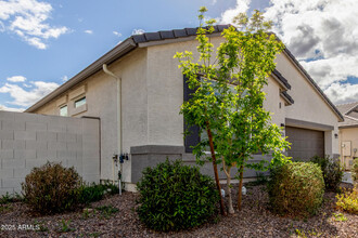 4437 W Magdalena Ln in Phoenix, AZ - Building Photo - Building Photo