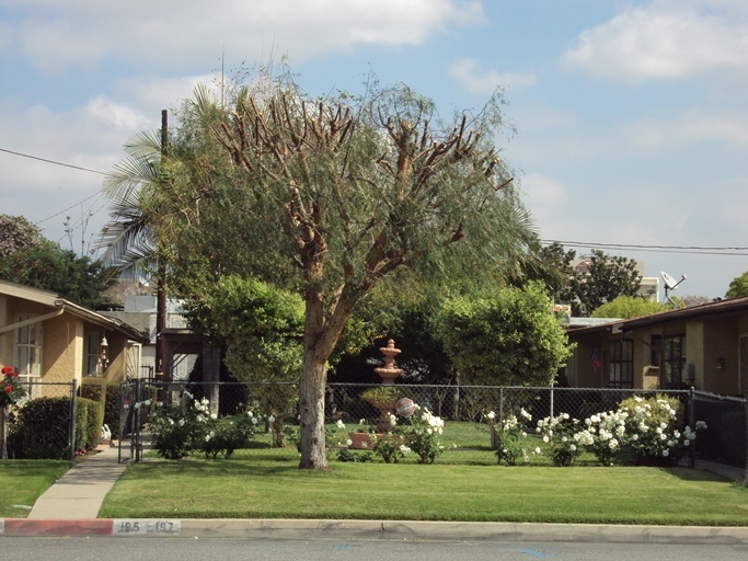 171 W McKinley Ave in Pomona, CA - Building Photo