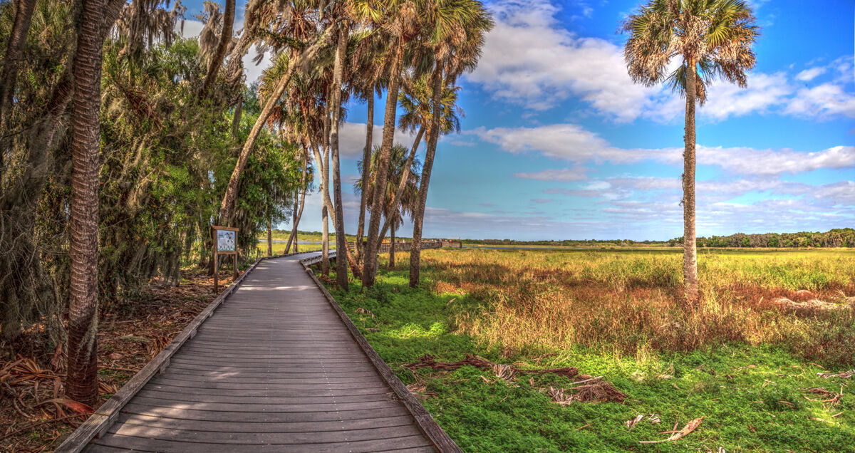 Ascend Angeline in Land O Lakes, FL - Building Photo