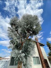 17578 Orange Dr, Unit 17590 in Yorba Linda, CA - Building Photo - Building Photo