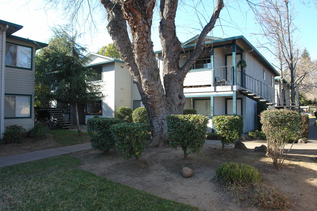 Northwood Apartments in Chico, CA - Building Photo - Building Photo