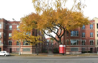 Washington Park Condos in Chicago, IL - Building Photo - Building Photo