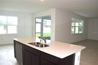 20854 Magnolia Crk Ln in Land O Lakes, FL - Building Photo - Building Photo