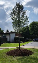 Rowanoake Apartments in Streetsboro, OH - Foto de edificio - Building Photo